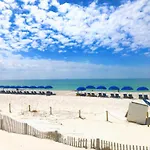 Pelican Walk 111